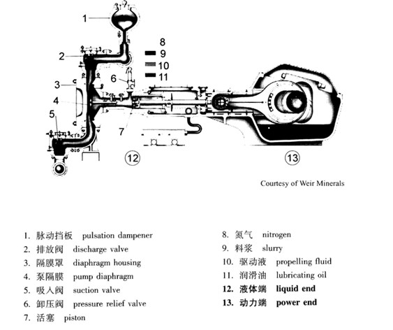 ݷeĤDiaphragm Positive Displacement Pump